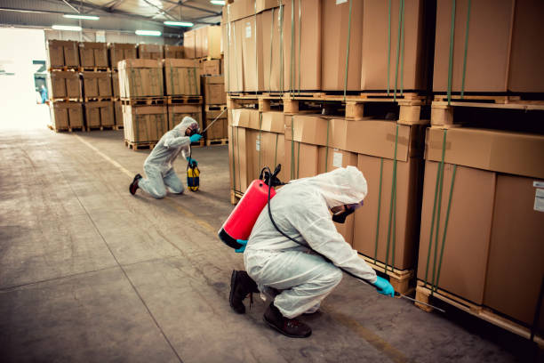 Best Pest Control Near Me in Belhaven, NC