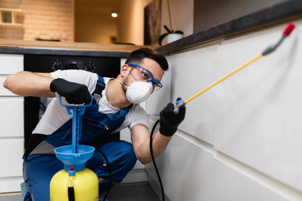 Best Bed Bug Extermination  in Belhaven, NC