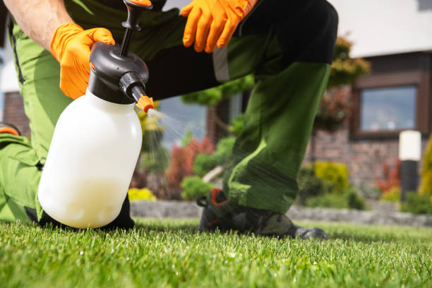 Best Emergency Pest Control  in Belhaven, NC