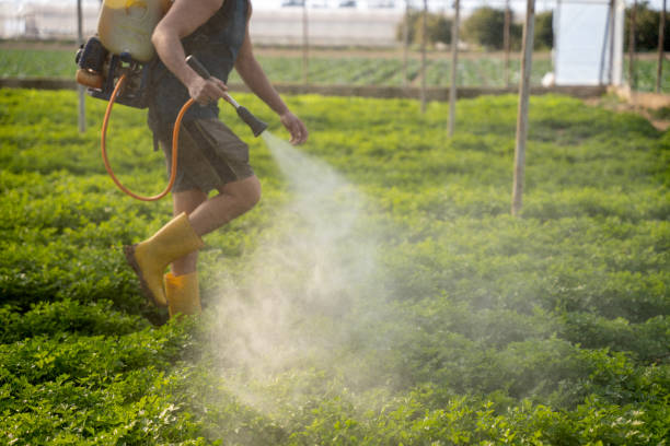 Best Affordable Exterminators  in Belhaven, NC