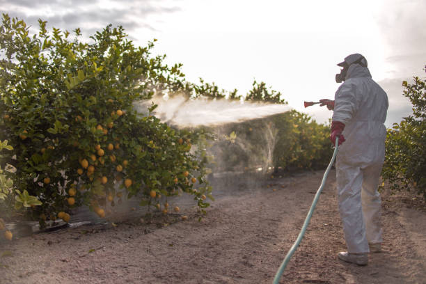 Best Pest Control Near Me  in Belhaven, NC
