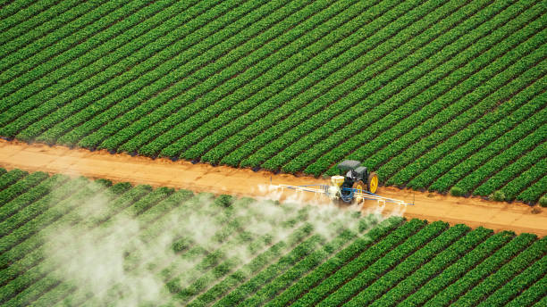 Best Best Pest Control Companies  in Belhaven, NC