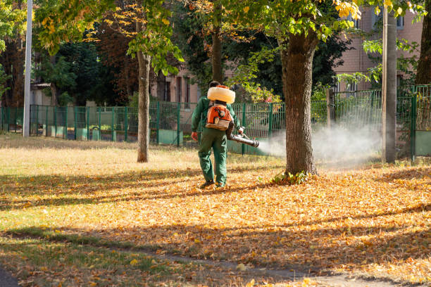 Best Best Pest Control Companies  in Belhaven, NC