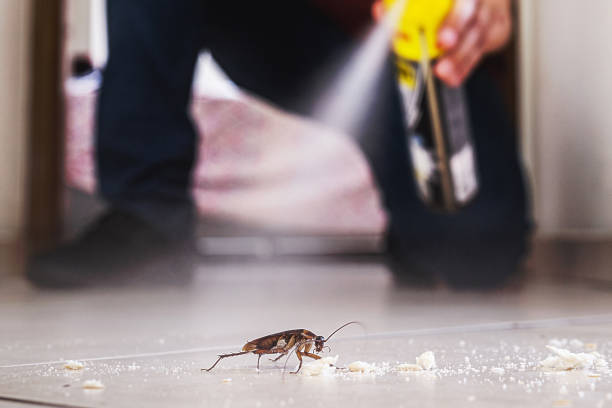 Professional Pest Control in Belhaven, NC