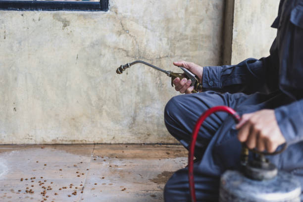 Best Pest Inspection Near Me  in Belhaven, NC